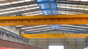 Universal QD Double Girder Overhead Crane