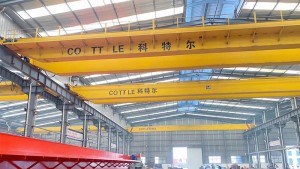 Universal QD Double Girder Overhead Crane