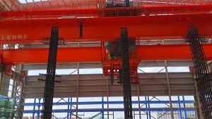 Suction and discharge crane