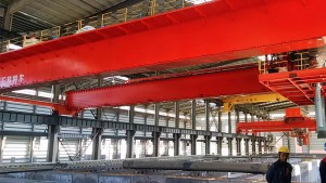 Suction and discharge crane