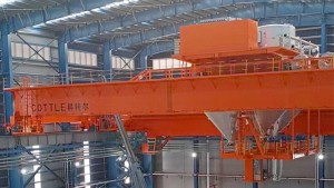 Suction and discharge crane