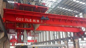 Suction and discharge crane